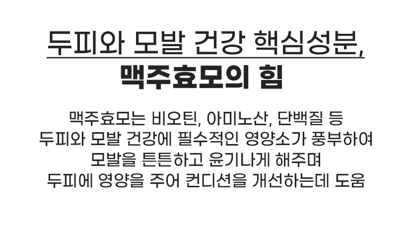 두피와 모발 건강 핵심성분, 맥주효모의 힘 - 비오틴, 아미노산, 단백질 등 풍부