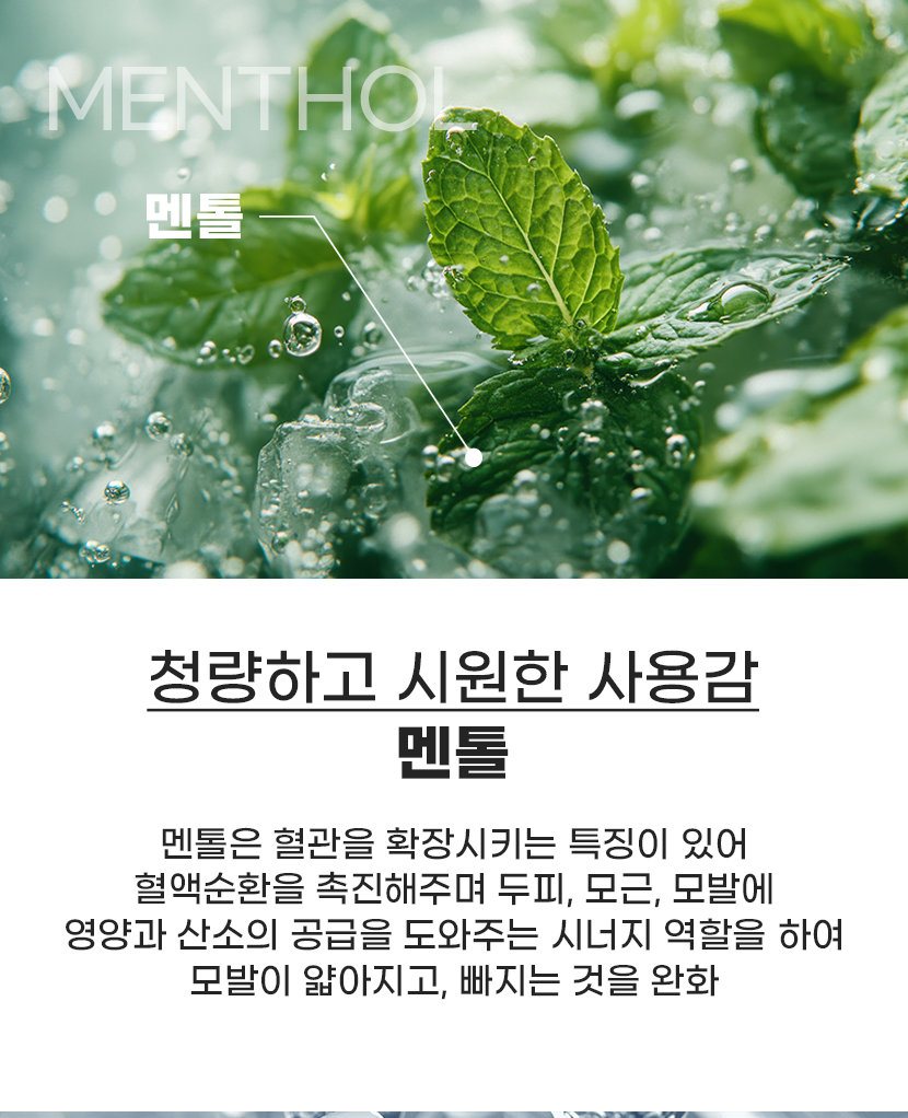MENTHOL 멘톨 - 청량하고 시원한 사용감, 혈액순환 촉진으로 두피 모근 모발에 영양과 산소 공급