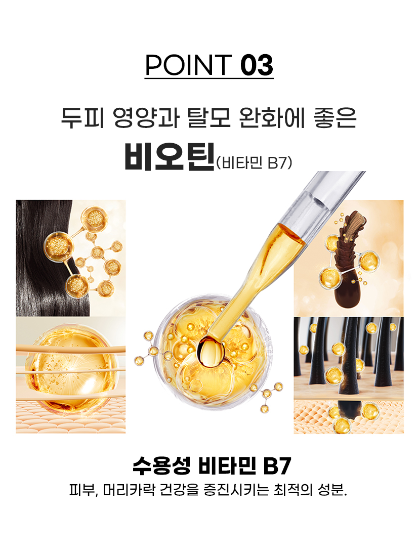 POINT 03 - 비오틴(비타민 B7). 두피 영양과 탈모 완화에 좋은 수용성 비타민